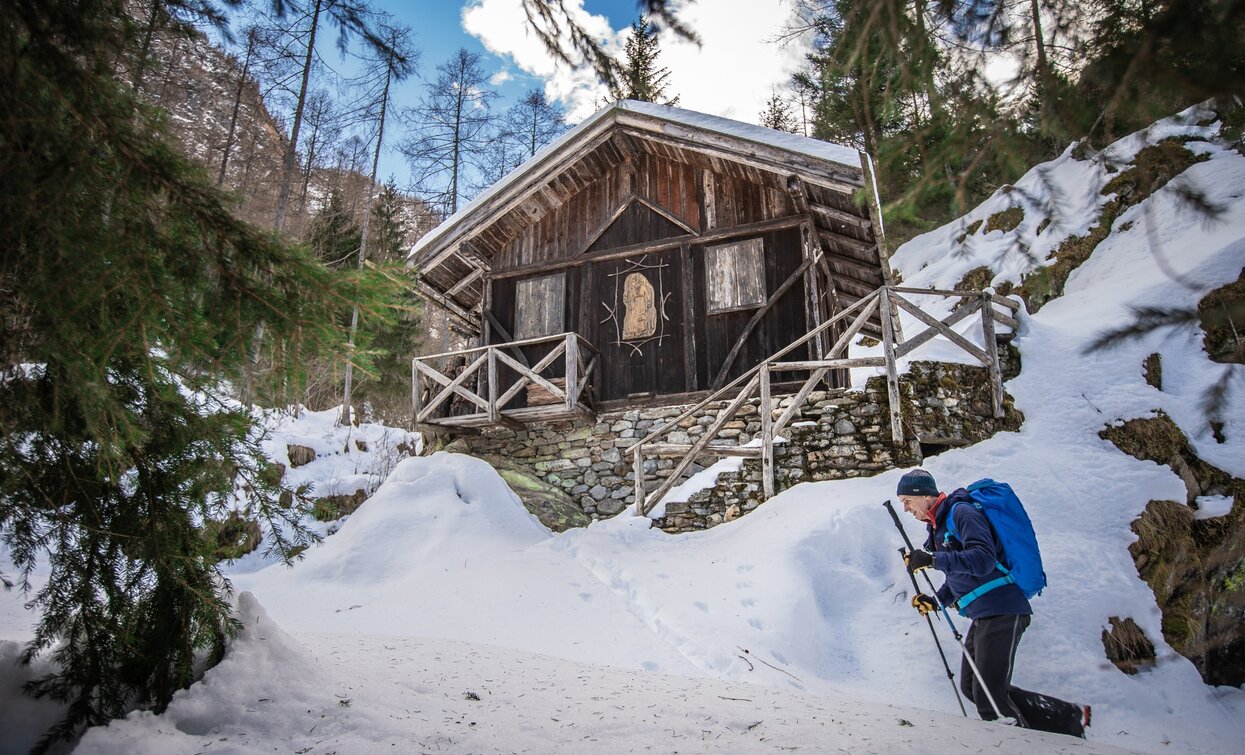 Val Valorz in Val di Rabbi | © Tommaso Prugnola , Azienda per il Turismo Val di Sole