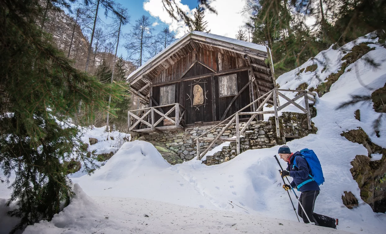 Val Valorz in Val di Rabbi | © Tommaso Prugnola , Azienda per il Turismo Val di Sole