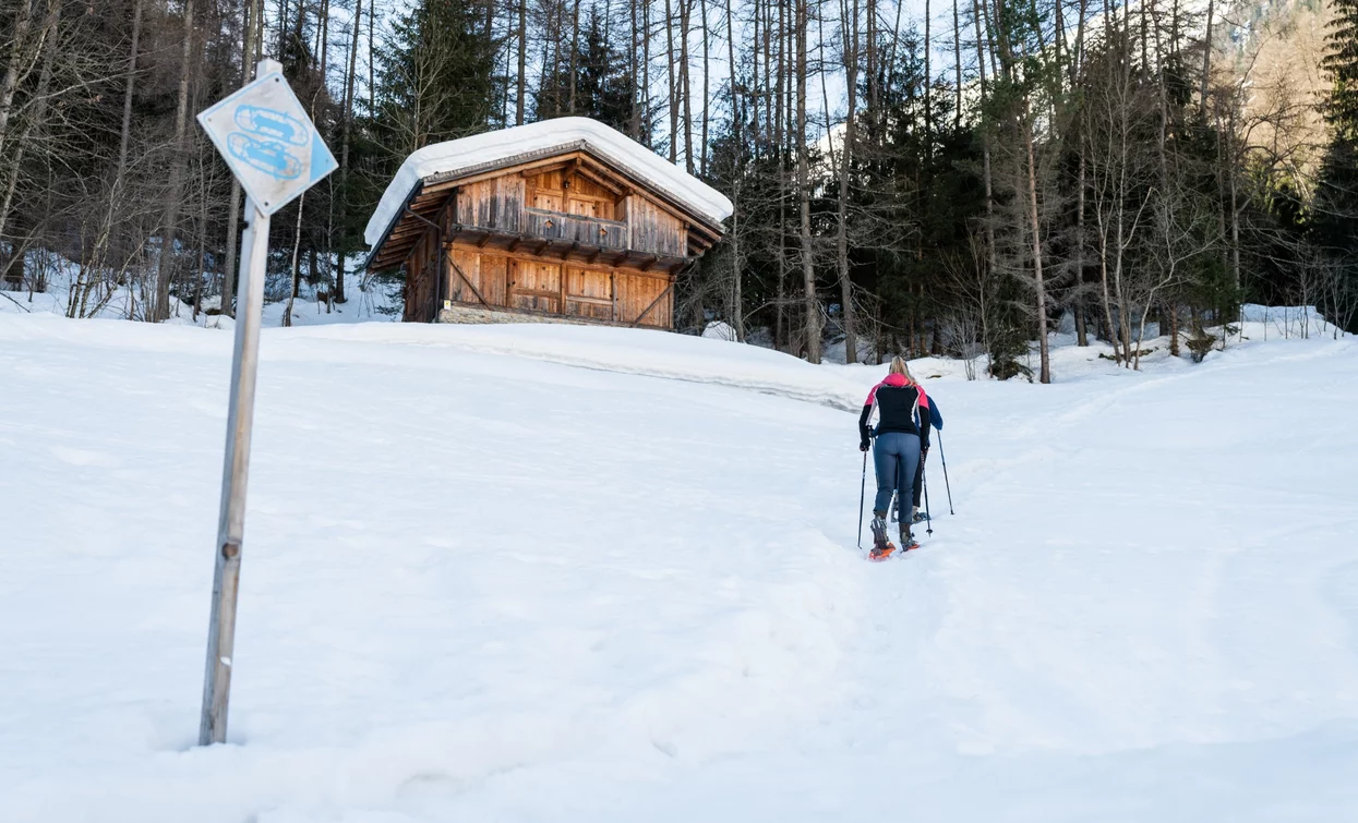 Snowshoe hike in Val Valorz | © Giacomo Podetti, APT Valli di Sole, Peio e Rabbi