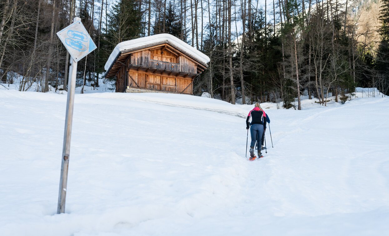 Escursione con le racchette da neve in Val Valorz | © Giacomo Podetti, APT Valli di Sole, Peio e Rabbi