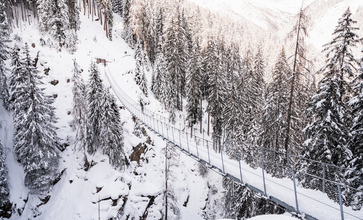 Hängebrücke im Val di Rabbi | © Giacomo Podetti, Azienda per Il Turismo Val di Sole