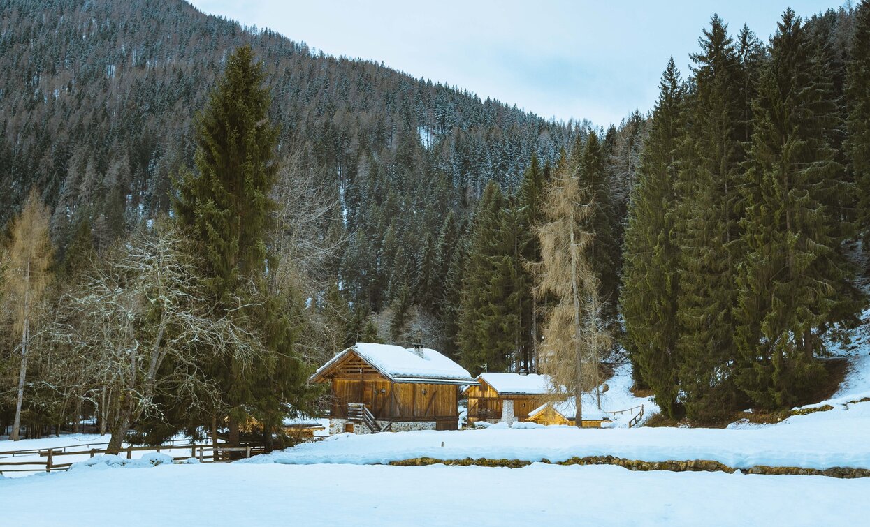 Typische Masi im Val di Rabbi | © Kamill Cosemans, Azienda per il Turismo Val di Sole