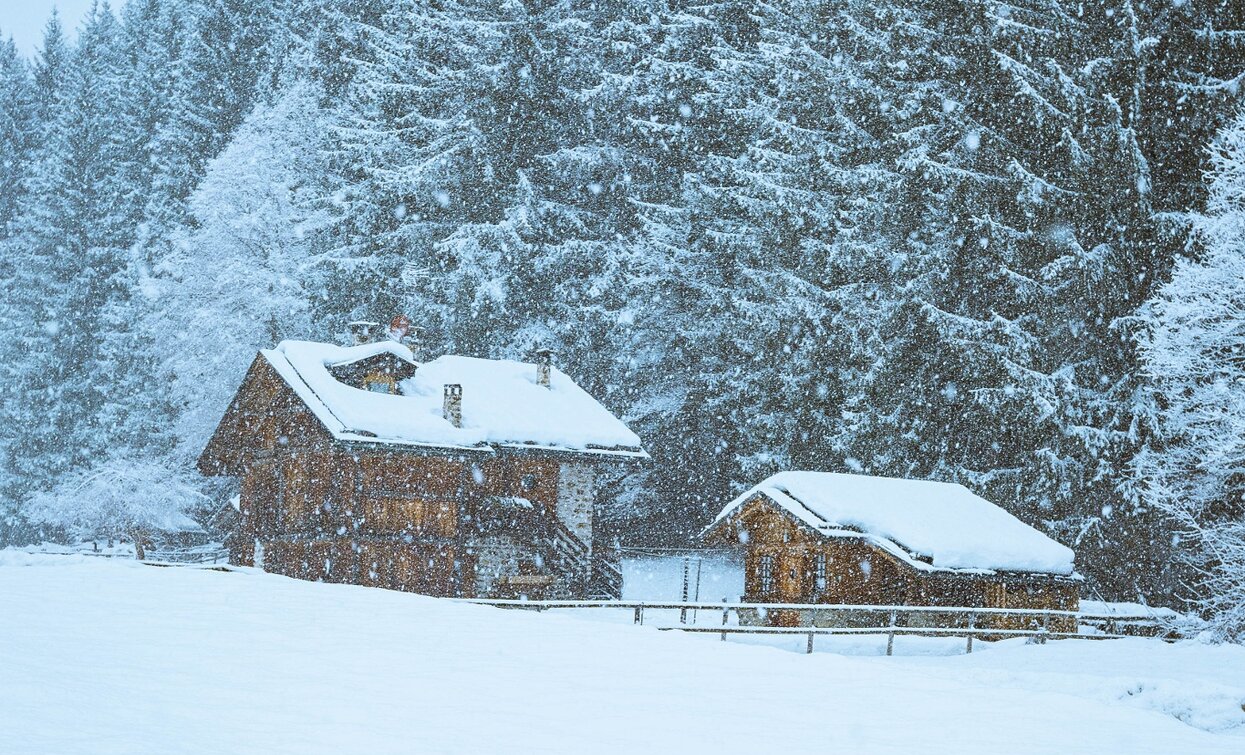 Masi della Val di Rabbi | © Kamill Cosemans, Azienda per il Turismo Val di Sole