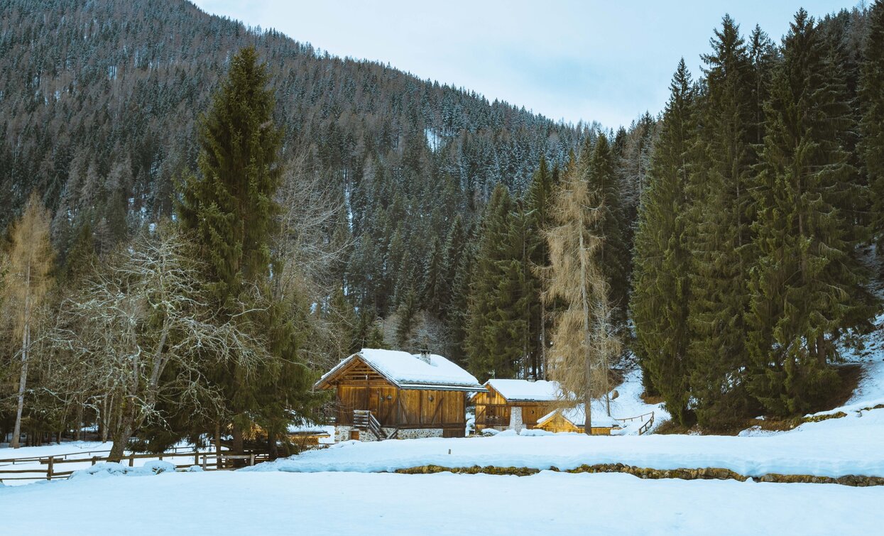 Typische Masi im Val di Rabbi | © Kamill Cosemans, Azienda per il Turismo Val di Sole