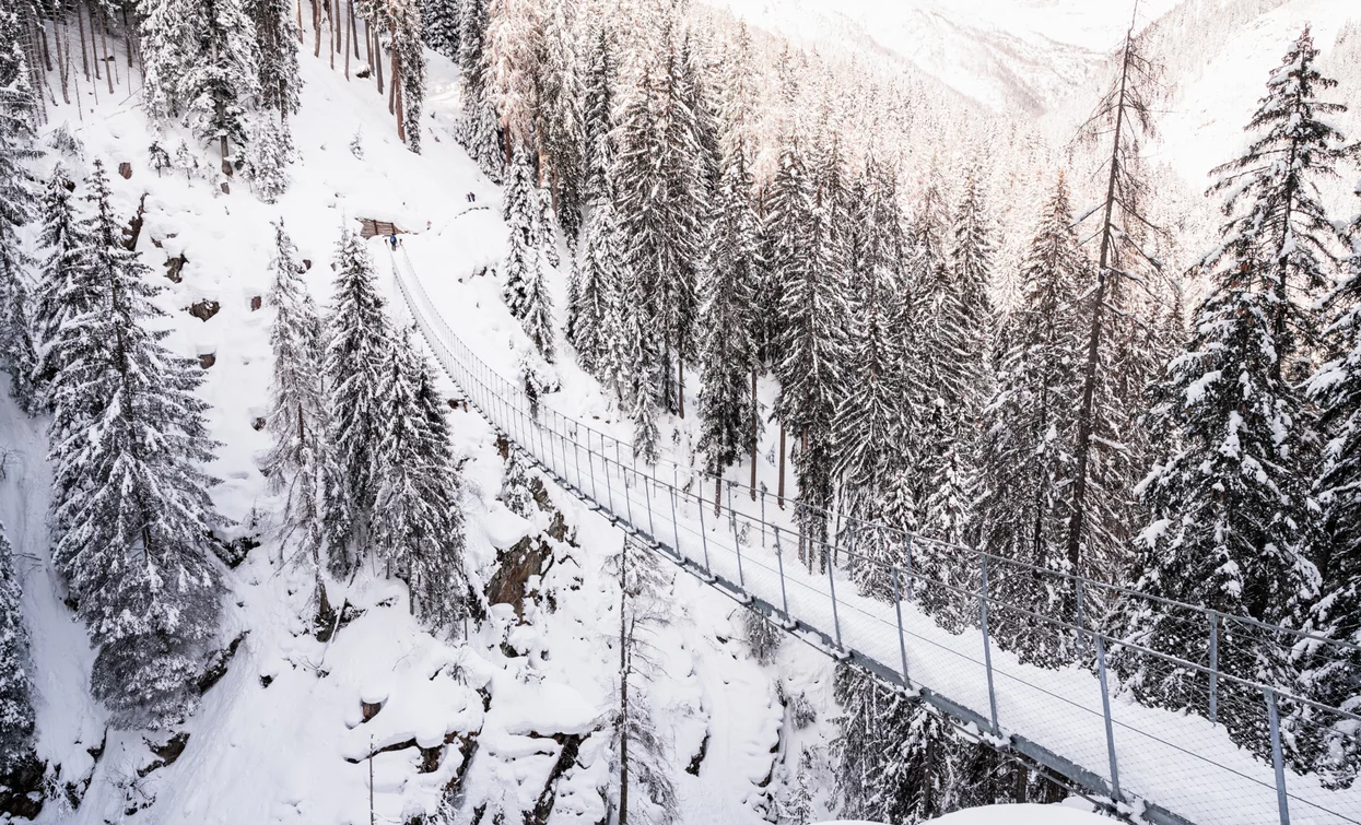Ponte sospeso in Val di Rabbi | © Giacomo Podetti, Azienda per Il Turismo Val di Sole