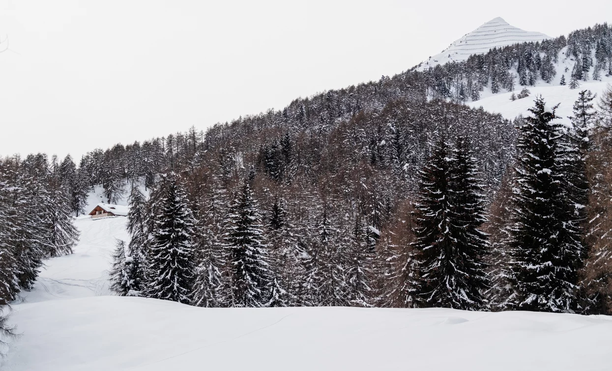Towards the Cimon di Bolentina | © Giacomo Podetti, Azienda per Il Turismo Val di Sole