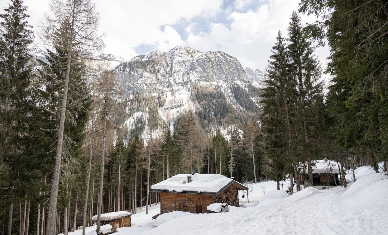 The Farmhouses of Ronzola, Folgarida | © Elisa Fedrizzi, APT Valli di Sole, Peio e Rabbi