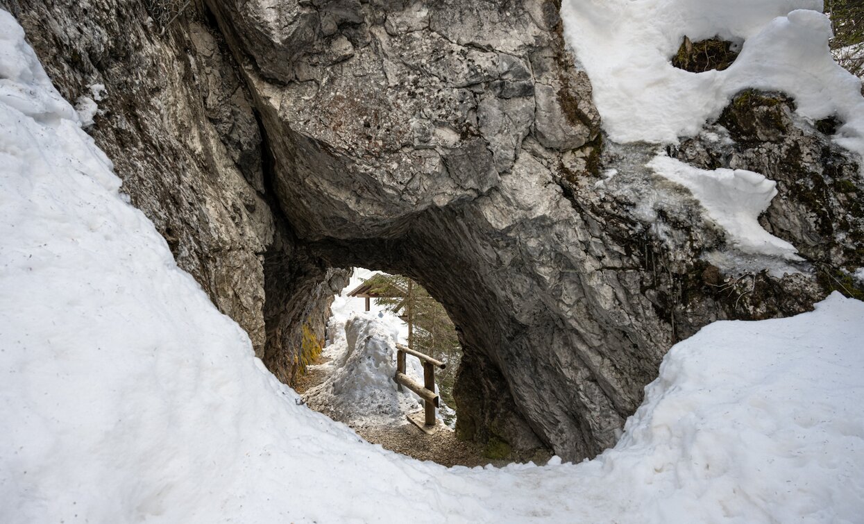 Val Meledrio, snow hike between Dimaro and Folgarida | © Elisa Fedrizzi, APT Valli di Sole, Peio e Rabbi