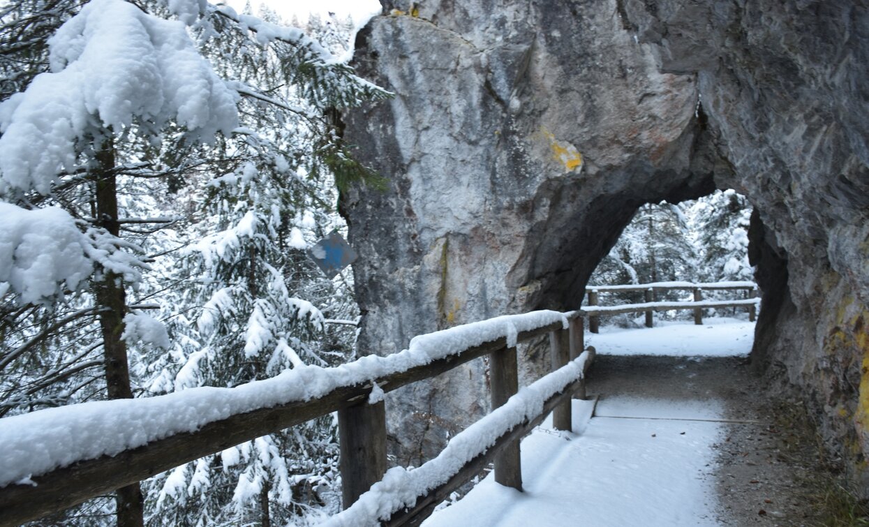 Val Meledrio im Val di Sole | © Dario Andreis, Azienda per Il Turismo Val di Sole 