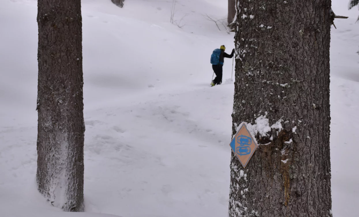 Beschilderung entlang des Weges | © Dario Andreis, Azienda per Il Turismo Val di Sole 