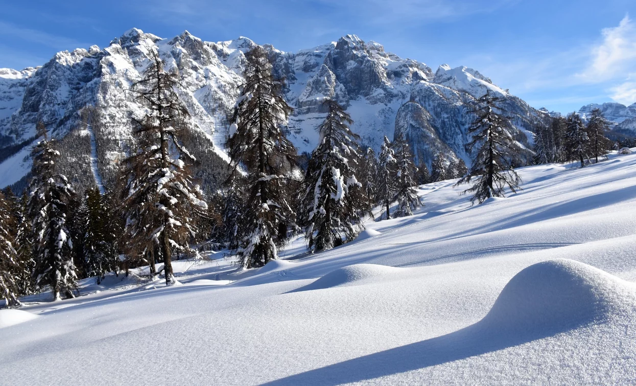 View of the Brenta Dolomites | © Dario Andreis, Azienda per Il Turismo Val di Sole