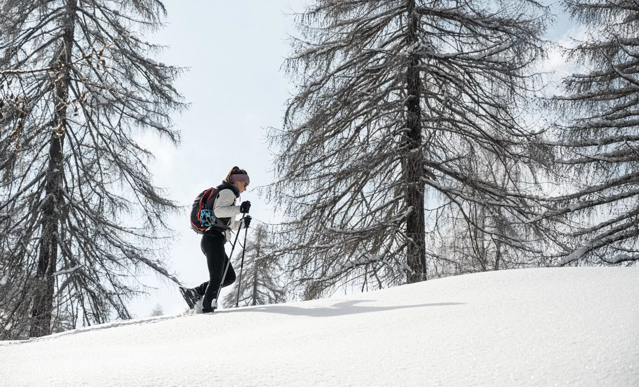 With snowshoes towards Malghet Aut in Folgarida | © Elisa Fedrizzi, APT Valli di Sole, Peio e Rabbi