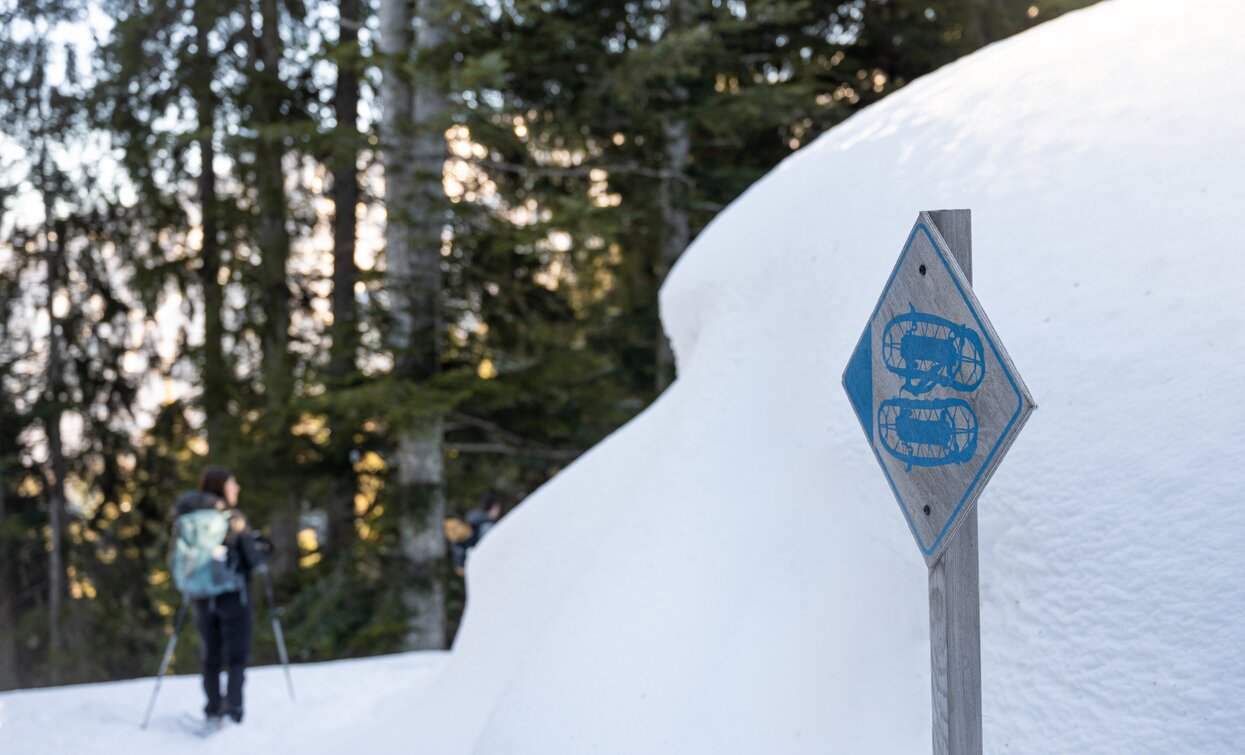 Mit den Schneeschuhen zum Malghetto di Almazzago | © Elisa Fedrizzi, APT - Valli di Sole, Peio e Rabbi