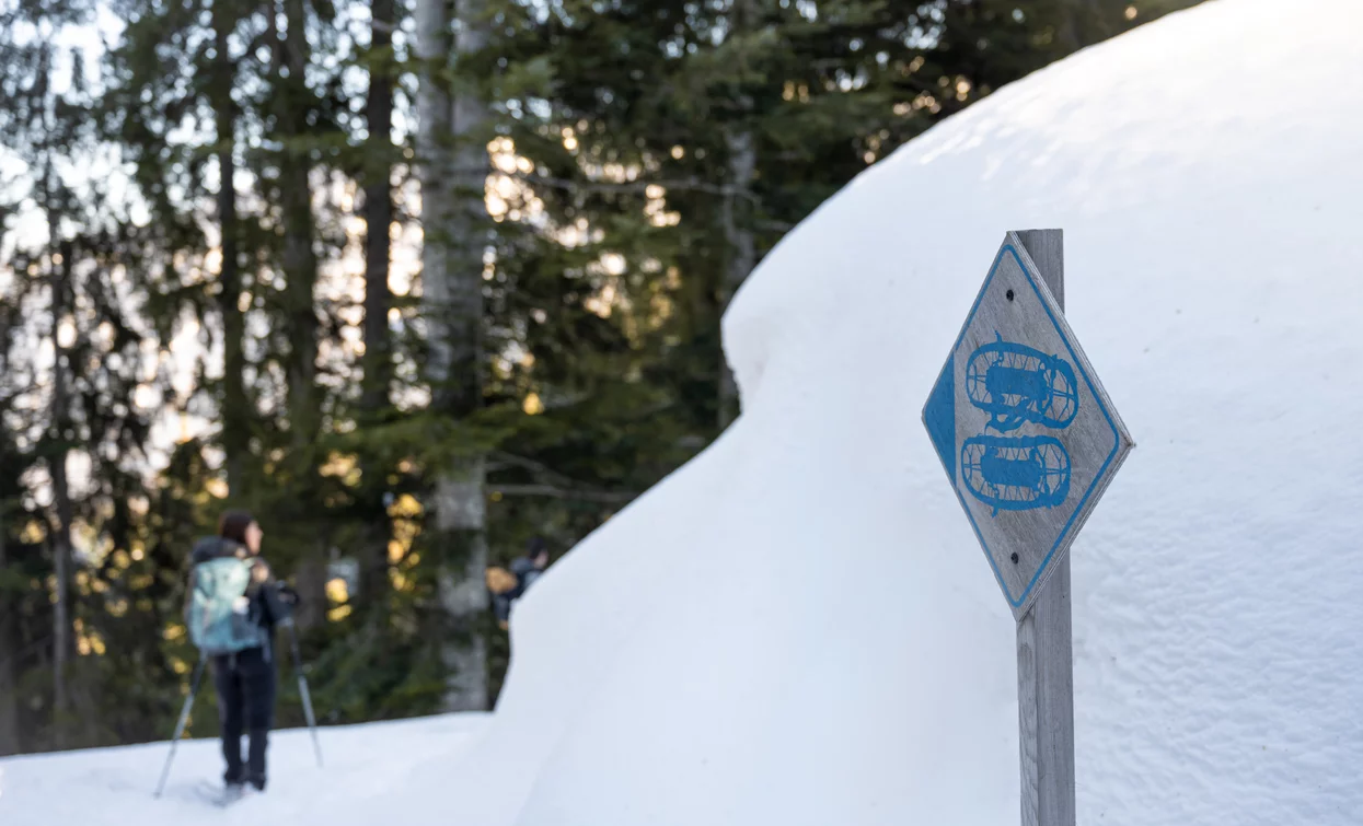 Mit den Schneeschuhen zum Malghetto di Almazzago | © Elisa Fedrizzi, APT - Valli di Sole, Peio e Rabbi