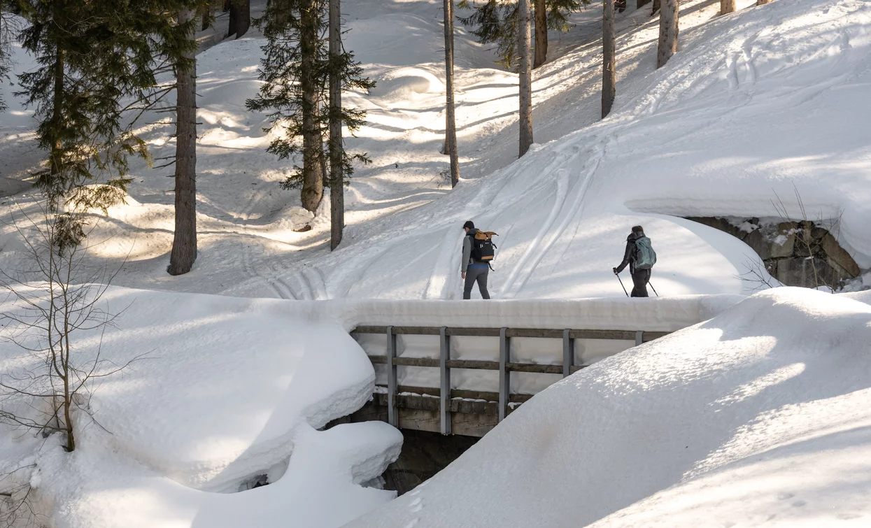 Zum Malghetto di Almazzago mit Schneeschuhen | © Elisa Fedrizzi, APT - Valli di Sole, Peio e Rabbi