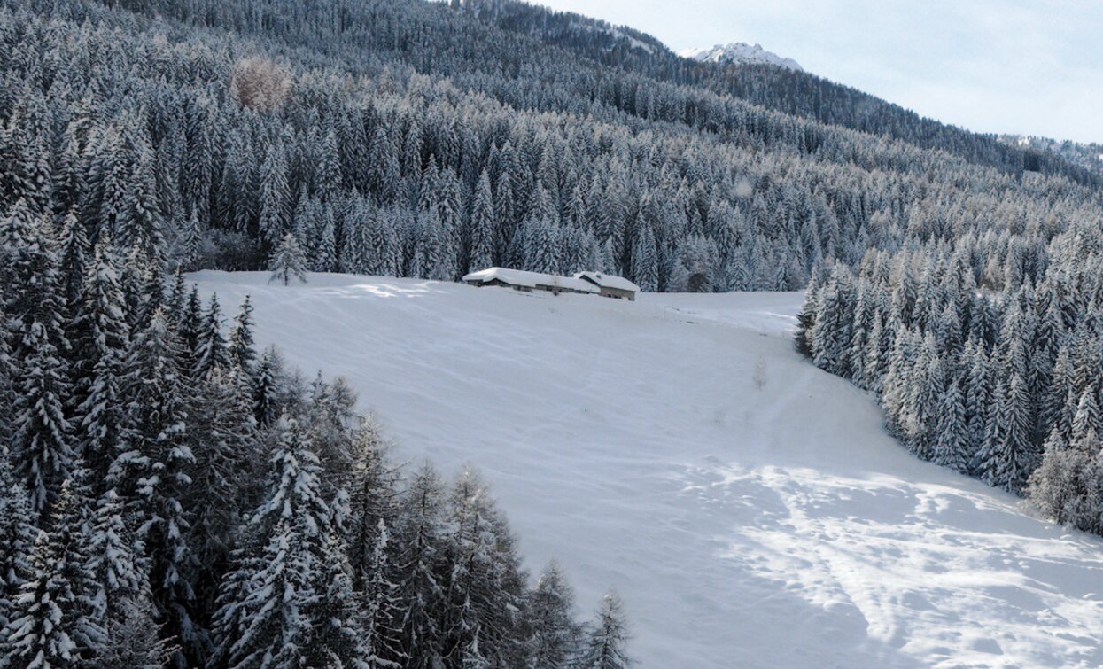Malghetto di Mastellina | © APT - Valli di Sole, Peio e Rabbi