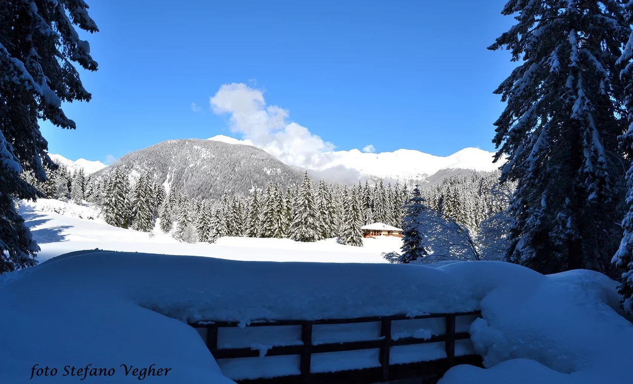 Lake dei Caprioli | © Stefano Vegher, Unknown