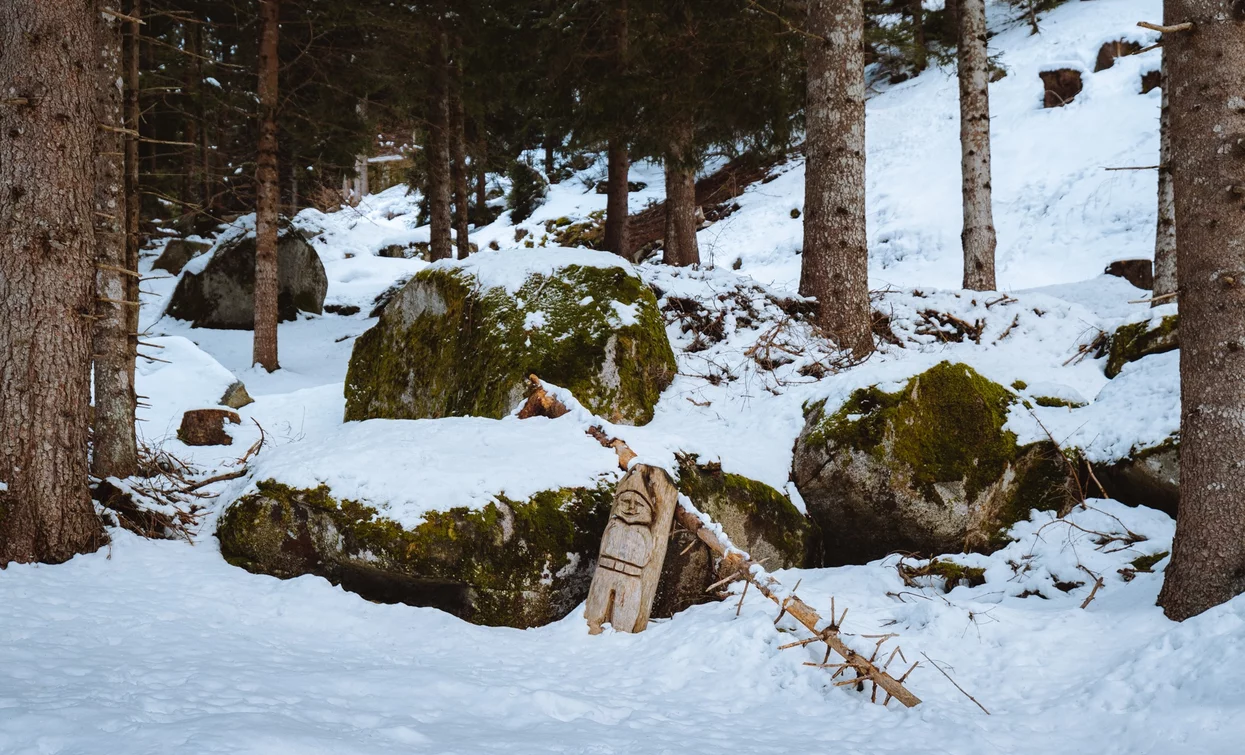 Gnomes' Path to reach the Lake of the Roebucks | © Nicola Cagol, APT Valli di Sole, Peio e Rabbi