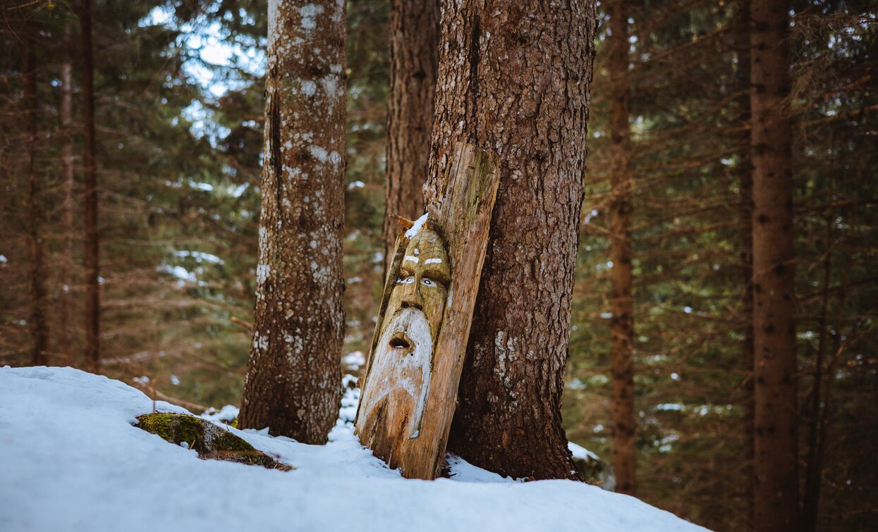 Sentiero degli gnomi, percorribile anche in inverno | © Nicola Cagol, APT Valli di Sole, Peio e Rabbi