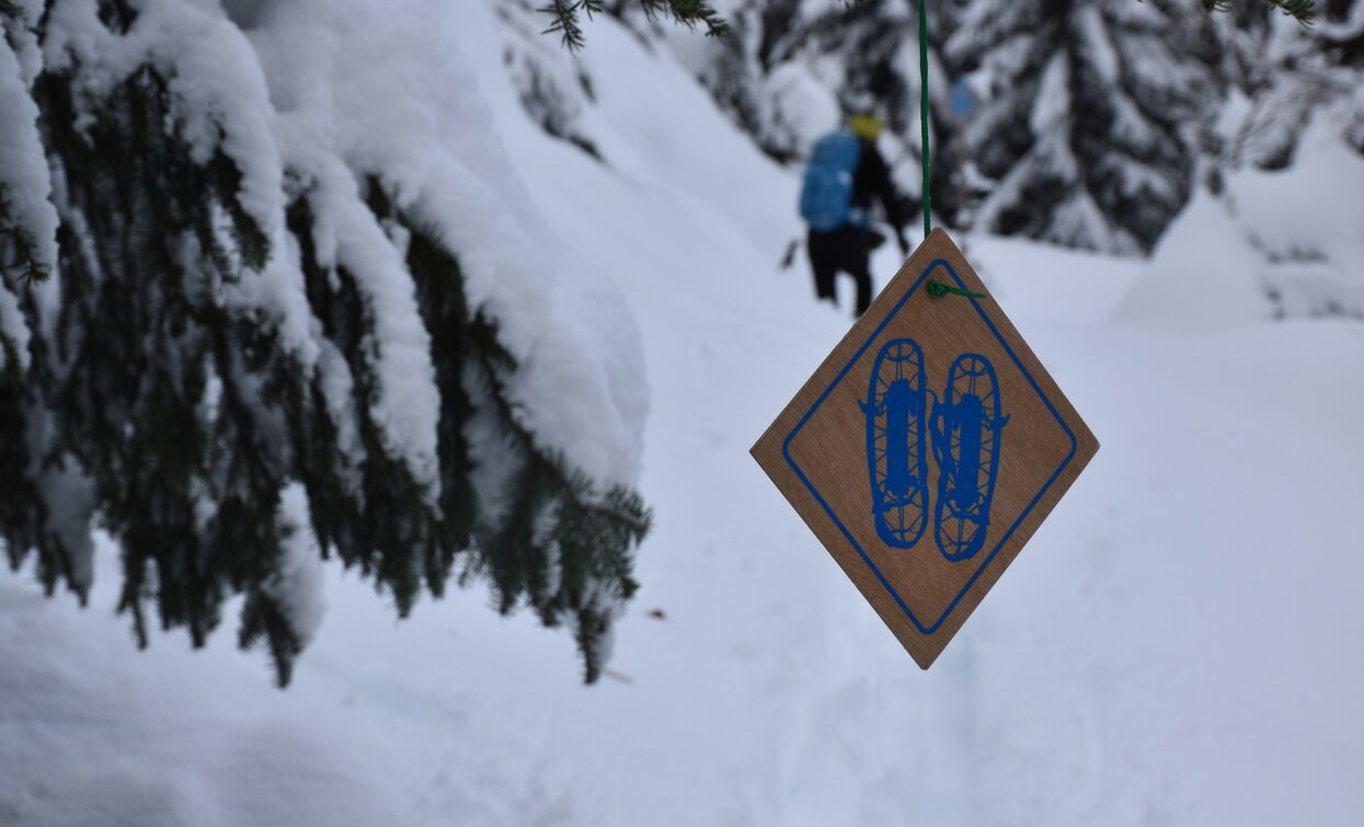 Beschilderung entlang des Wegs | © Dario Andreis, Azienda per Il Turismo Val di Sole