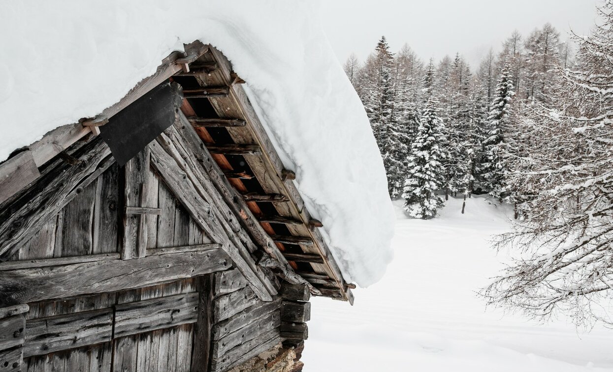 Maso tipico in Val di Peio ( a Covel) | © Giacomo Podetti, Azienda per Il Turismo Val di Sole 