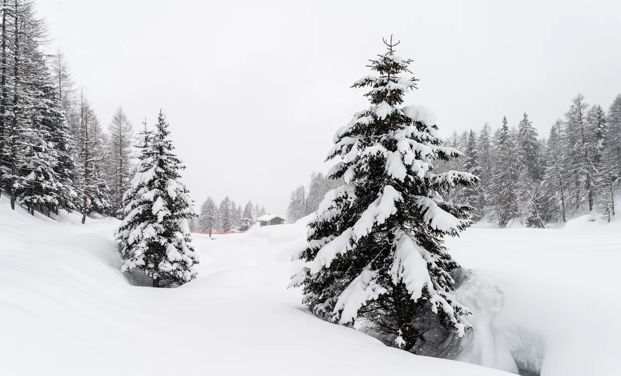 Parco Nazionale dello Stelvio innevato | © Giacomo Podetti, APT Valli di Sole, Peio e Rabbi