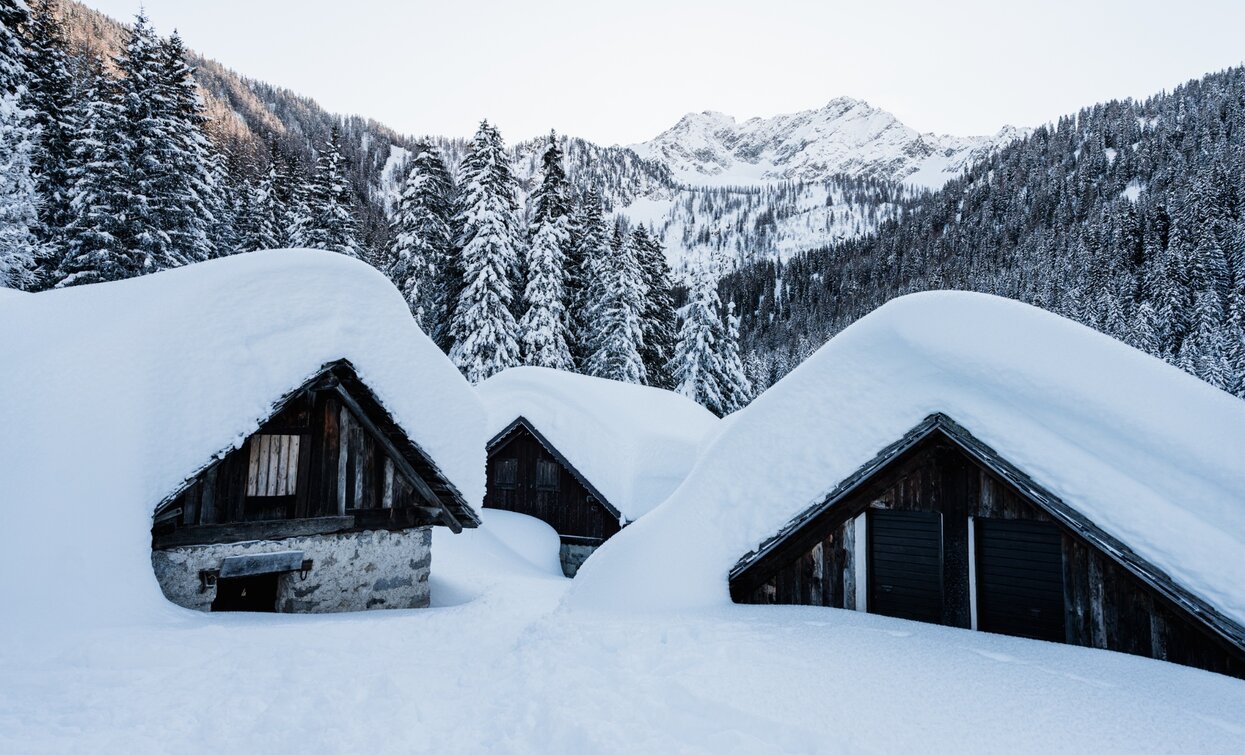 Traditional farmhouses in Val di Peio | © Giacomo Podetti, APT Valli di Sole, Peio e Rabbi