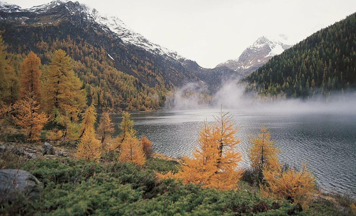 Lago Pian Palù | © Dorino Moreschini, Parco Nazionale dello Stelvio (settore Trentino)