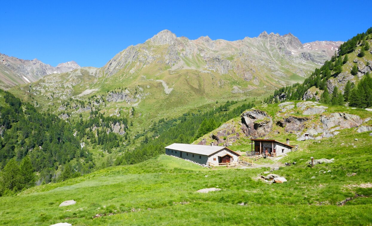 Malga Paludèi | © Parco Nazionale dello Stelvio (settore Trentino)