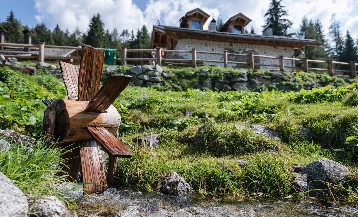 Malga Alta di Fazzon | © Ph Giacomo Podetti, APT Valli di Sole, Peio e Rabbi