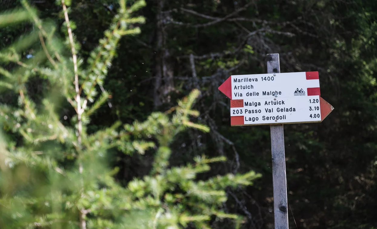 Towards Malga Alta di Fazzon | © Giacomo Podetti, APT Valli di Sole, Peio e Rabbi