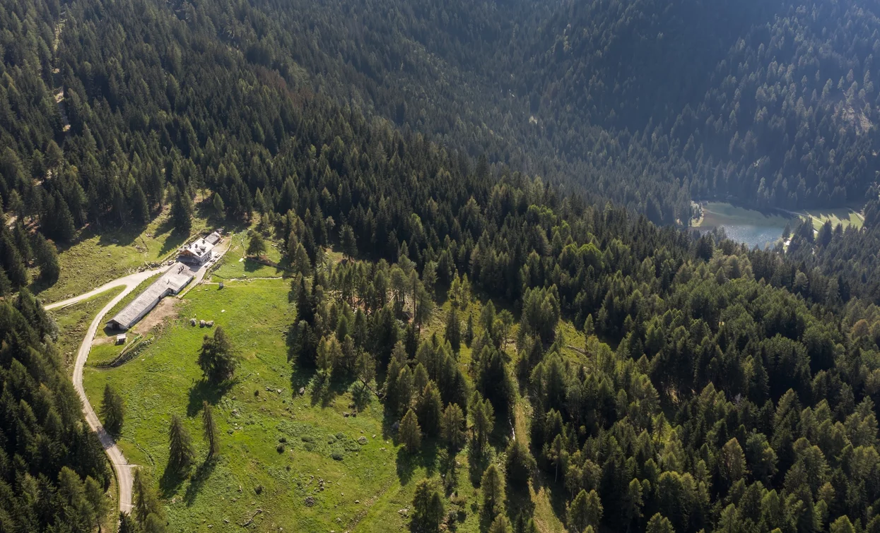 Malga Alta di Fazzon and Lago dei Caprioli | © Giacomo Podetti, APT Valli di Sole, Peio e Rabbi