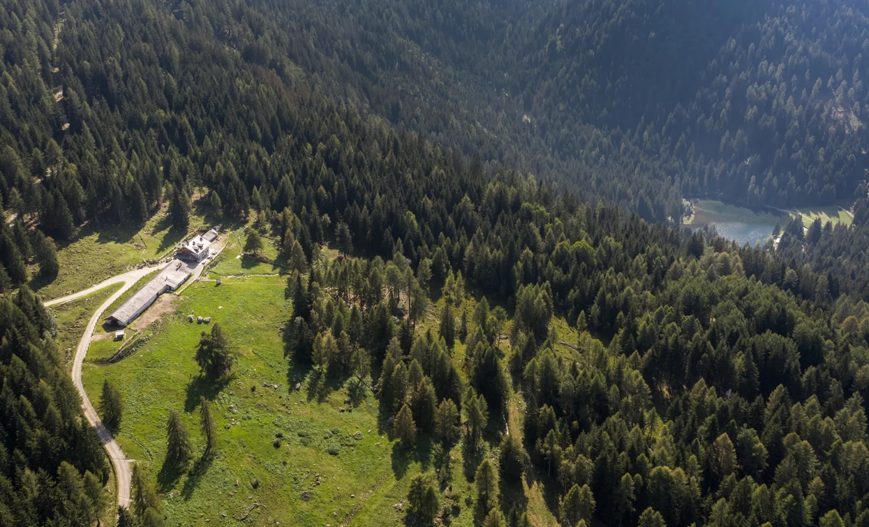 Malga Alta di Fazzon e Lago dei Caprioli | © Giacomo Podetti, APT Valli di Sole, Peio e Rabbi