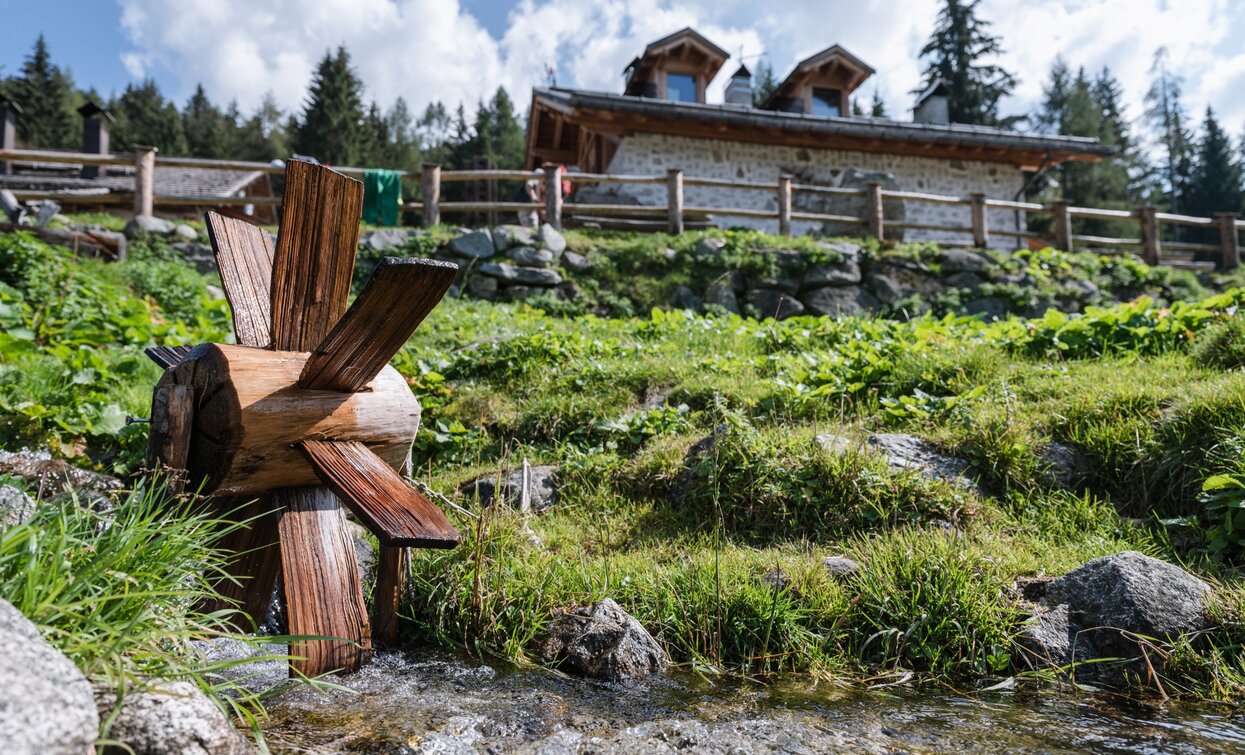 Malga Alta di Fazzon | © Ph Giacomo Podetti, APT Valli di Sole, Peio e Rabbi