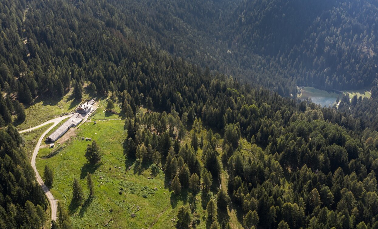 Malga Alta di Fazzon e Lago dei Caprioli | © Giacomo Podetti, APT Valli di Sole, Peio e Rabbi