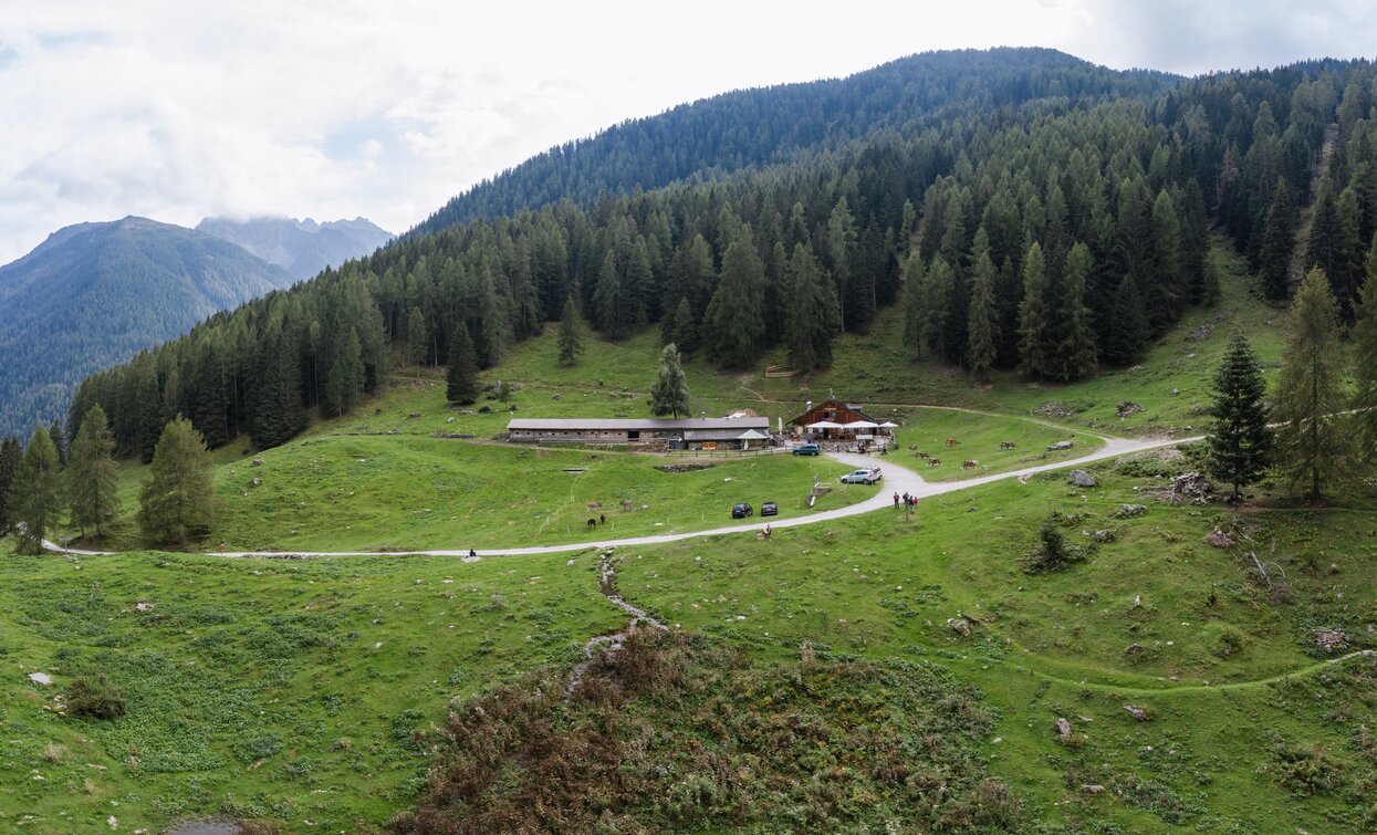 Malga Fratte | © Giacomo Podetti, APT Valli di Sole, Peio e Rabbi