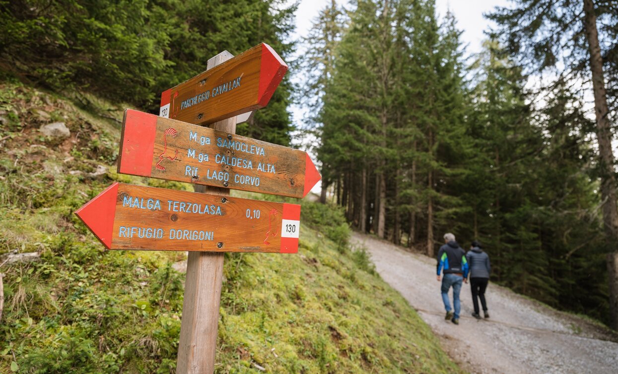 Richtung Malga Samocleva | © Giacomo Podetti, APT - Valli di Sole, Peio e Rabbi
