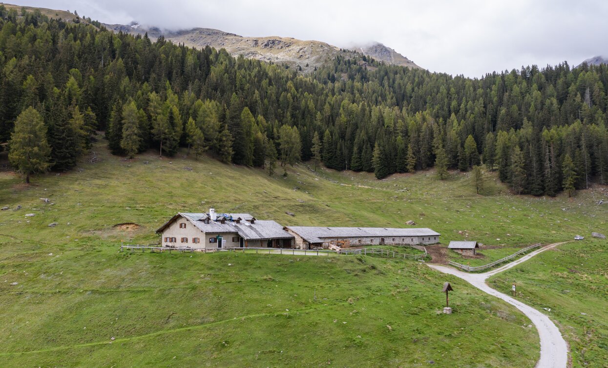 Malga Samocleva (Cespedè) in Val di Rabbi | © Giacomo Podetti, APT Valli di Sole, Peio e Rabbi