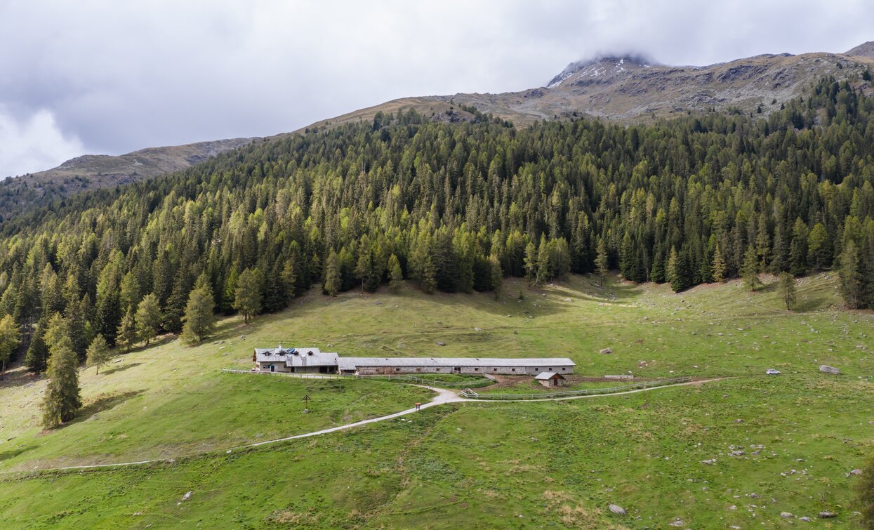 Malga Cespedè - Samocleva | © Giacomo Podetti, APT Valli di Sole, Peio e Rabbi