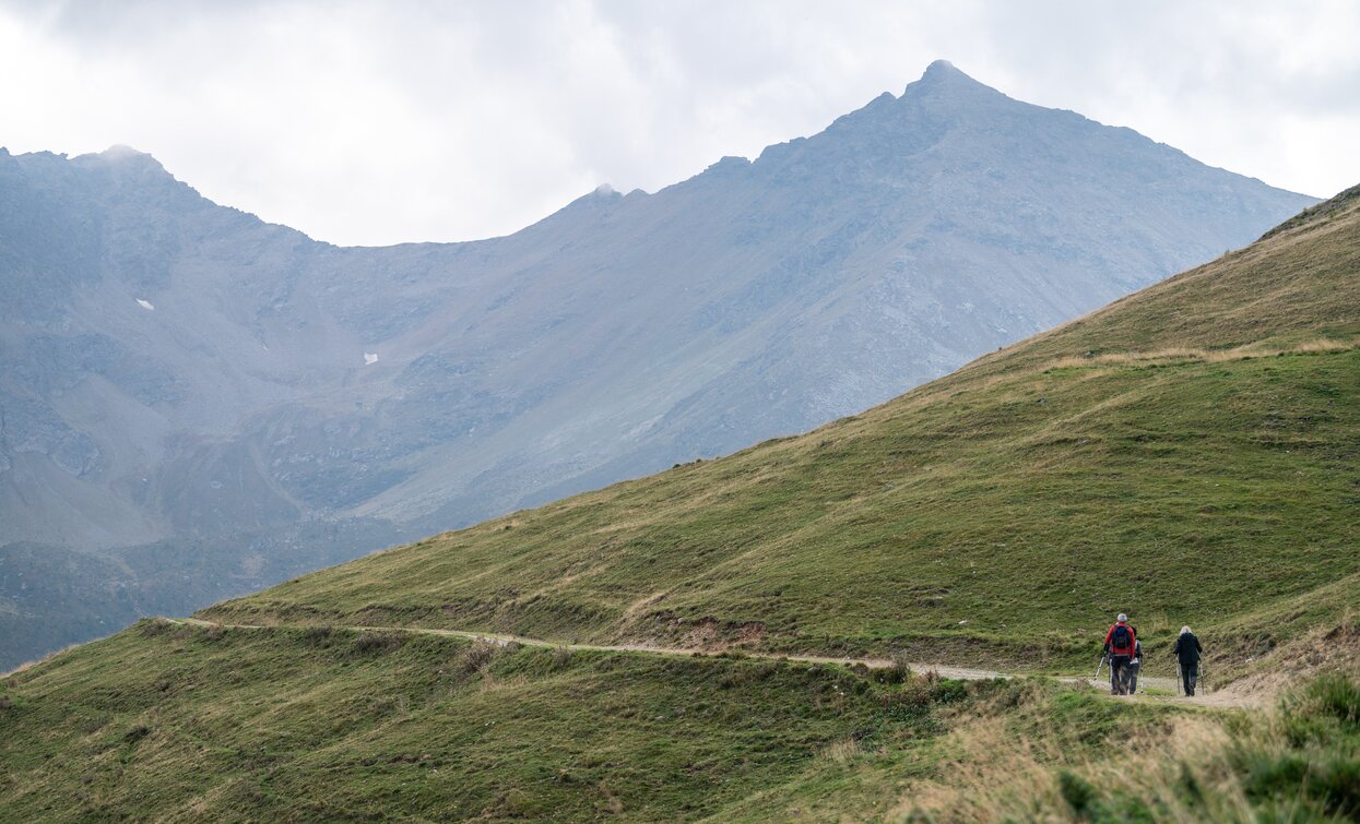 Verso Malga Monte Sole | © Giacomo Podetti, APT Valli di Sole, Peio e Rabbi