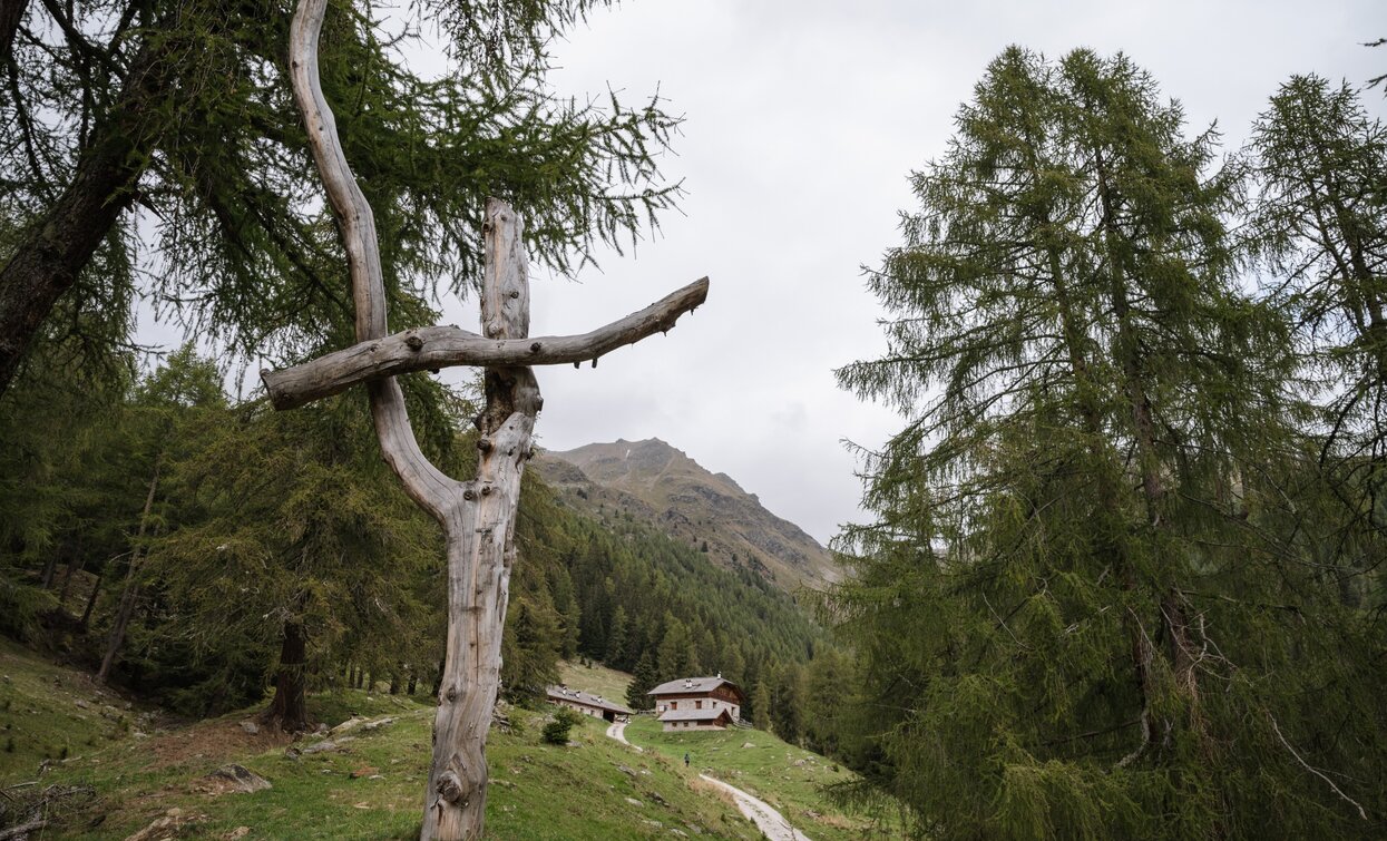 Malga Paludè - Lower Caldesa | © Giacomo Podetti, APT Valli di Sole, Peio e Rabbi