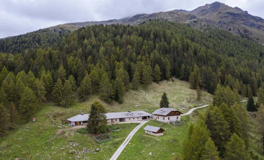 Accomodazione