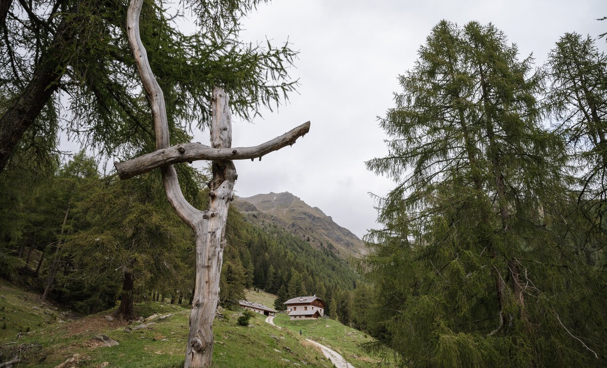 Malga Paludè - Caldesa bassa | © Giacomo Podetti, APT Valli di Sole, Peio e Rabbi