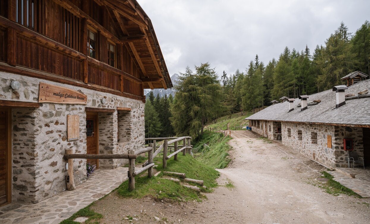 Malga Paludè - Caldesa bassa | © Giacomo Podetti, APT Valli di Sole, Peio e Rabbi