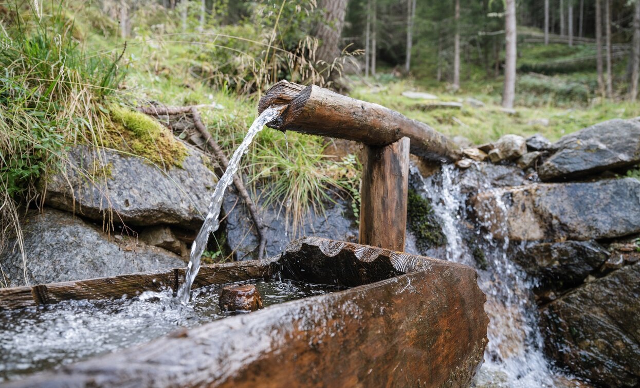 Zur Malga Polinar | © Giacomo Podetti, APT - Valli di Sole, Peio e Rabbi