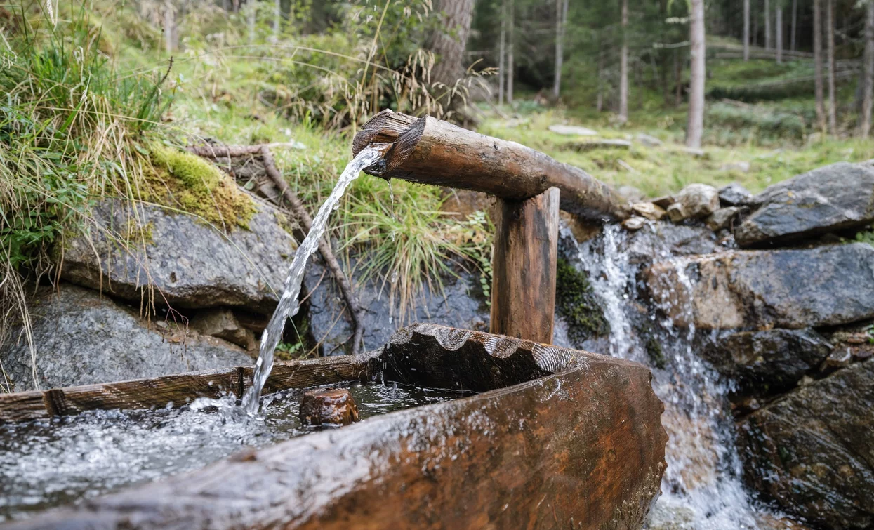 Towards Malga Polinar | © Giacomo Podetti, APT Valli di Sole, Peio e Rabbi