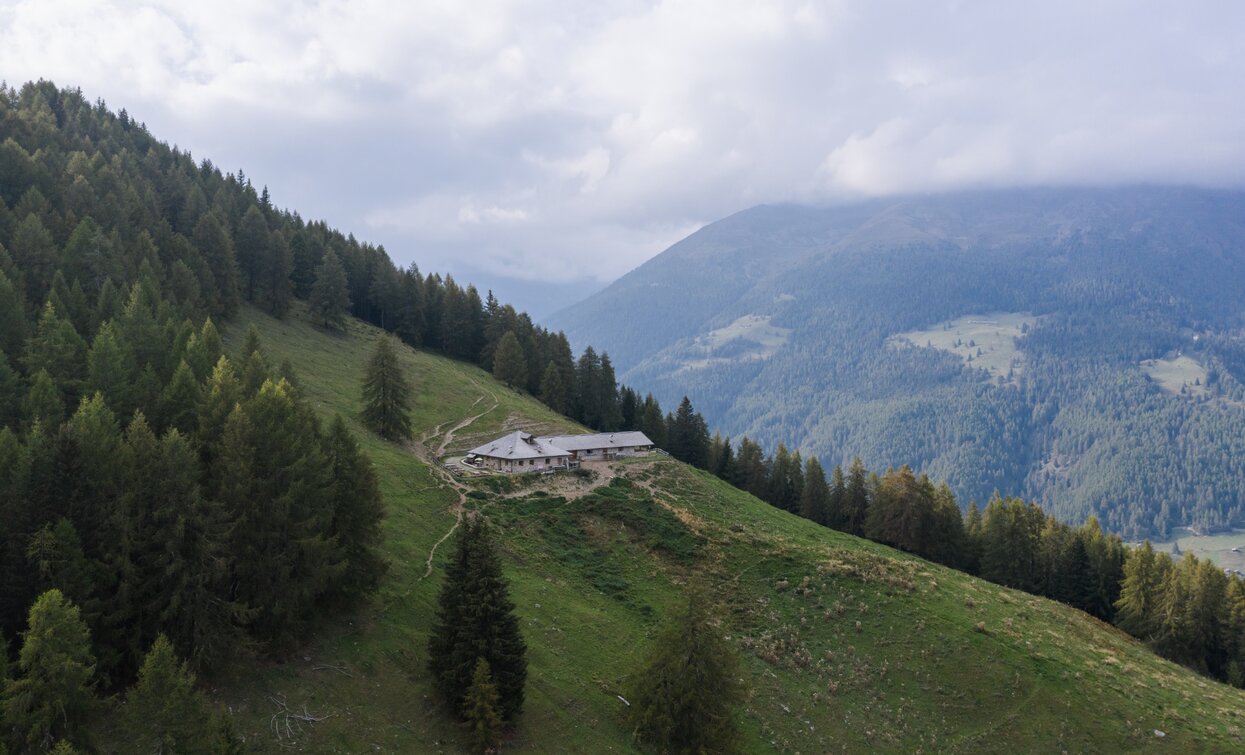 Malga Polinar | © Giacomo Podetti, APT - Valli di Sole, Peio e Rabbi