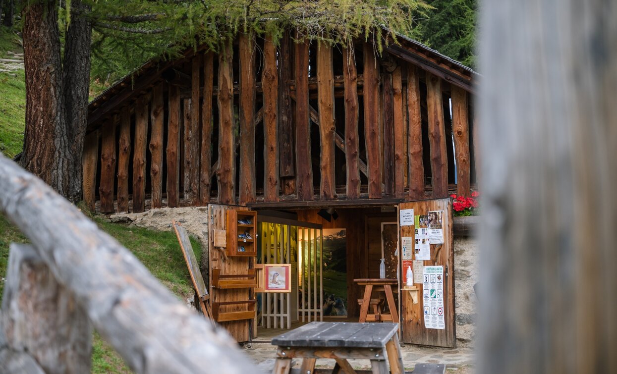 Besucherzentrum Stablet - Das Murmeltierhaus | © Giacomo Podetti, APT - Valli di Sole, Peio e Rabbi
