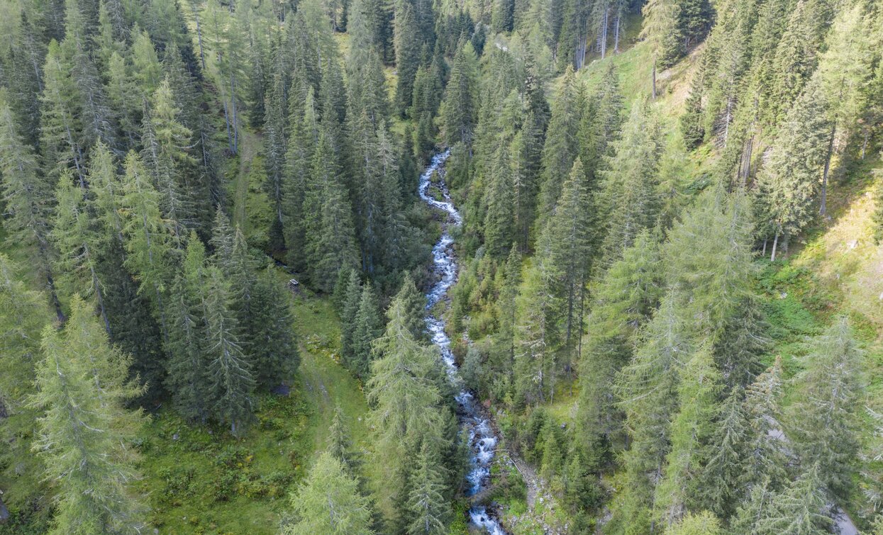 Val di Rabbi nl Parco Nazionale dello Stelvio | © Giacomo Podetti, APT Valli di Sole, Peio e Rabbi