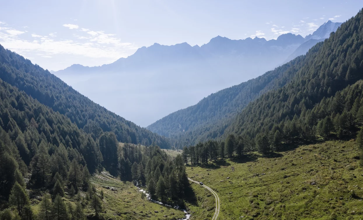 View from Malga Strino | © Giacomo Podetti, APT Valli di Sole, Peio e Rabbi